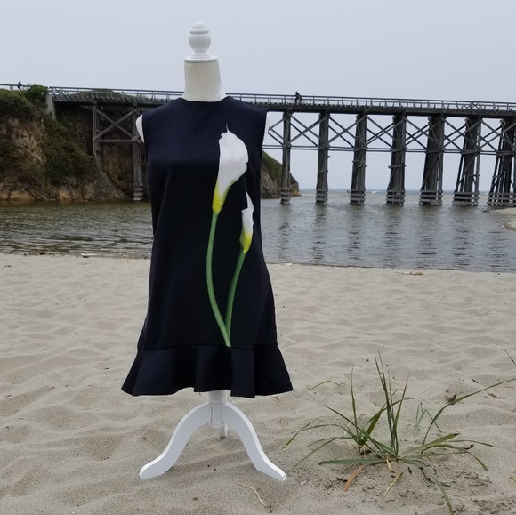 coast victoria ruffle dress